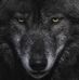 Oliver Stark - Facebook