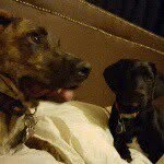 Olive and Stein - @olivestein15 - Instagram