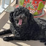 Olive-stein - @olivesburner - Instagram
