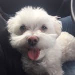 olivestein - @olivestein - Instagram
