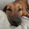 olivesteinmuller - @olivesteinmuller - TikTok