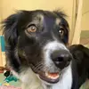 user150873242519 - @olive.steiner - TikTok
