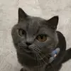 oliver_sterling - @oliver_sterling - TikTok