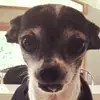 oliversterling717 - @oliversterling717 - TikTok
