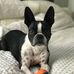 Olive Stevens - Facebook