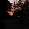 olivia - @olivesstreet - TikTok
