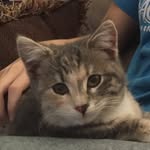 Olive - @olivesullivan - Instagram