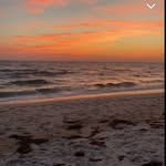 olive - @olivesullivan_ - Instagram