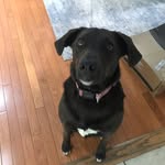 Olive Sullivan - @olive_is_coolio - Instagram