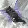 iiiiiiii - @olivesunn - TikTok