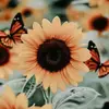 sunflower 🌻 - @olive.sun - TikTok