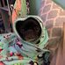 Olive Tanner - Facebook
