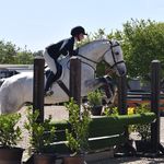 Olive Thompson - @olive.eq_ - Instagram