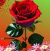 I love you mom dad - Facebook