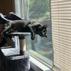 Prince Oliver Townsend - @prince.oliver.townsend - TikTok