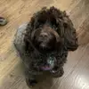 Oliver Tucker - @oliver.tucker53 - TikTok