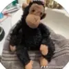 Oliver Vazquez - @oliver.vazquez05 - TikTok