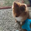Olive - @olivewagner - TikTok