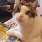 Olive Wagner - Facebook