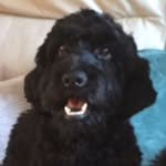 Olive Waller❤ - @olivewaller - Instagram