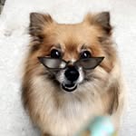 Olive Wallace - @olivethepomegranate - Instagram