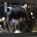 Olive Walsh - @six_inch_binky - Instagram