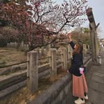 olive wang - @mm_olive_wang - Instagram