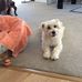 Olive Ware - Facebook