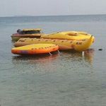 Olive Water Sport - @olivewatersport - Instagram
