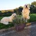 Olive Waters - Facebook