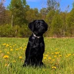 Olive Webster - @thediariesofolive - Instagram
