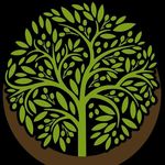 Olive Well - @olivewell_store - Instagram