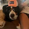 Olive_white - @dakota.white17 - TikTok