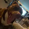 ow - @olive.white - TikTok
