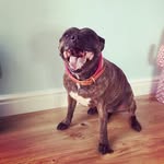 Olive Whitehead - @olivesopinions - Instagram