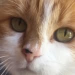 Olive Whitney - @olive.whitney - Instagram