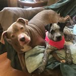 Whitney & Olive - @whitney.and.olive - Instagram