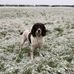 Oliver Wilkinson - Facebook