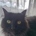 Olive Wilson - Facebook
