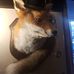 Olive Wilson - Facebook