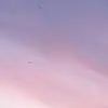 Oliveinwinters - @olivewinters2 - TikTok