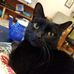 Olive Wolff - Facebook