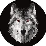 Olive Wolf - @olivewolfe - Instagram