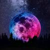 Olive Wolfe - @dealing_with_toxicity - TikTok