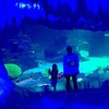 Oliver Wolfe268 - @oliverwolfe0 - TikTok