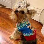 Oliver Wolfe - @wolfe_oliver - Instagram