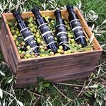 Wolfe Heights Olive Oil Co. - @wolfeheightsoliveoil - Instagram