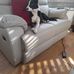 Olive Woods - Facebook