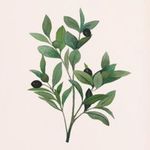 Olive Woods House - @olivewoodsny - Instagram