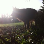 olivewoods - @olivewoods - Instagram